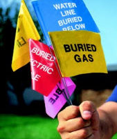 Blackburn Printed Marking Flags